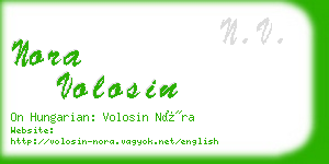 nora volosin business card